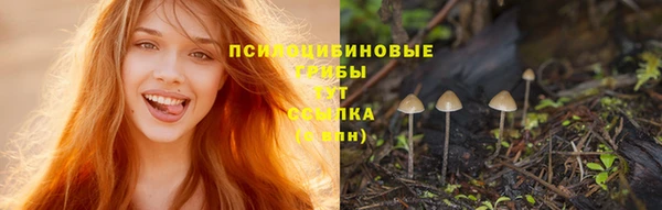 кокс Алексин