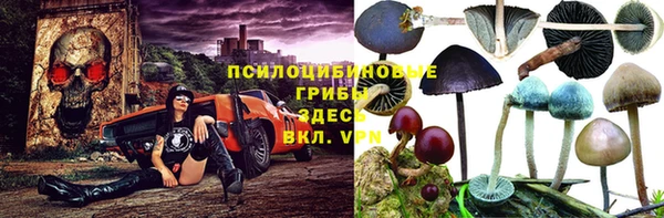 кокс Алексин