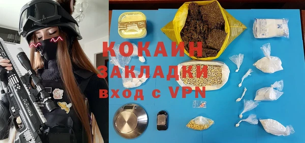 кокс Алексин