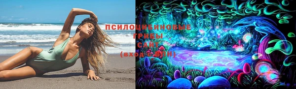 кокс Алексин