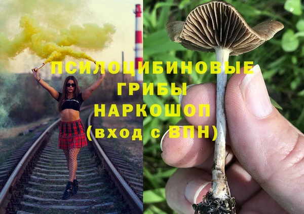 ALPHA PVP Алзамай
